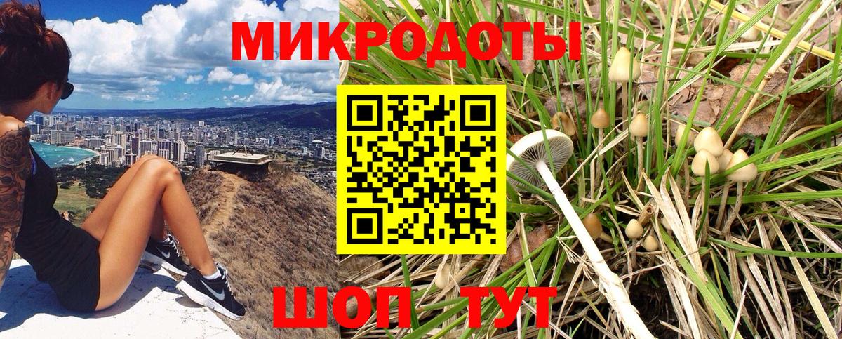 Псилоцибиновые грибы Magic Shrooms Алексин